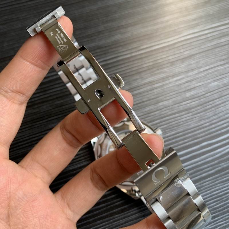 Omega 41mm 24-Aqua Terra (1)