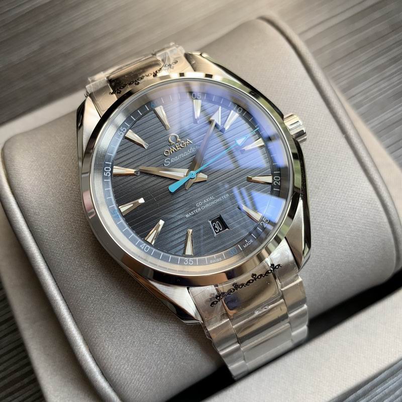 Omega 41mm 24-Aqua Terra (4)