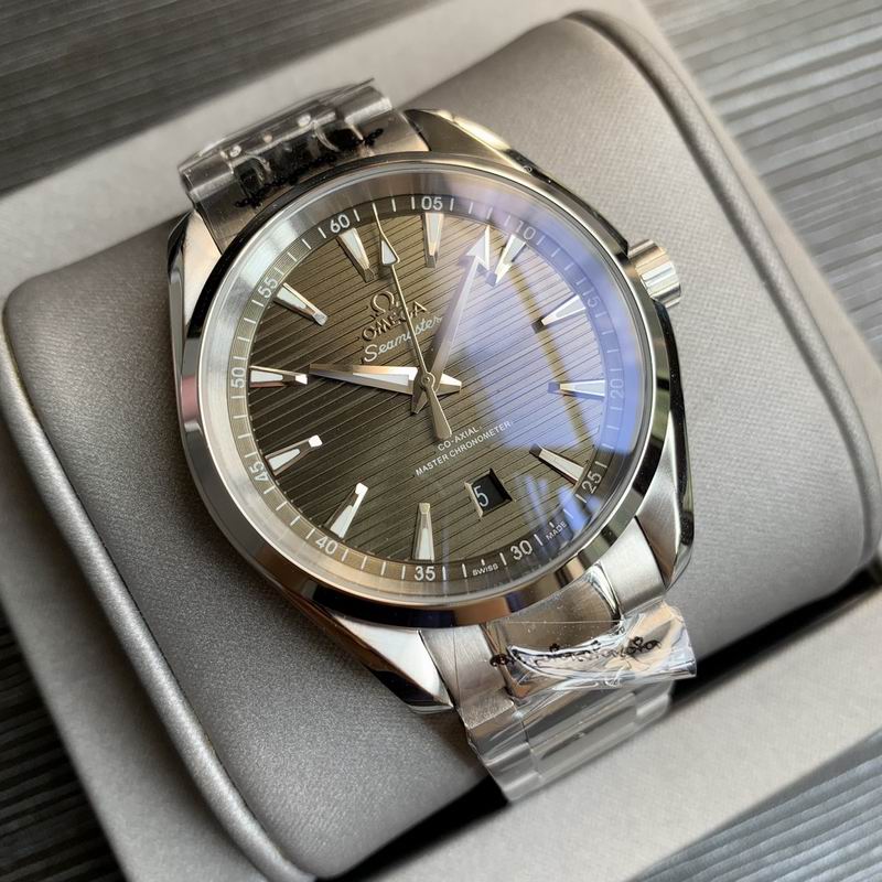 Omega 41mm 24-Aqua Terra (6)