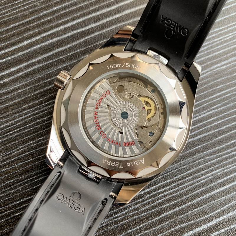 Omega 41mm 25-Aqua Terra (2)