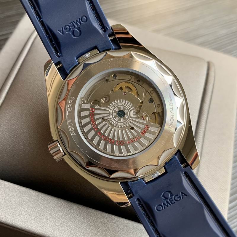 Omega 41mm 26-Aqua Terra (2)