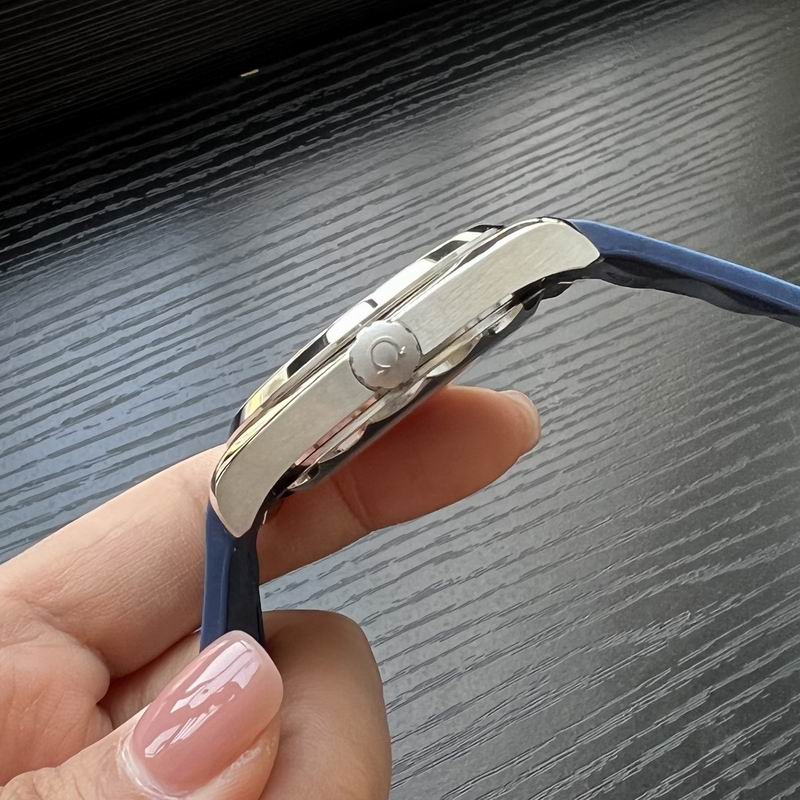 Omega 41mm 37-Aqua Terra (3)