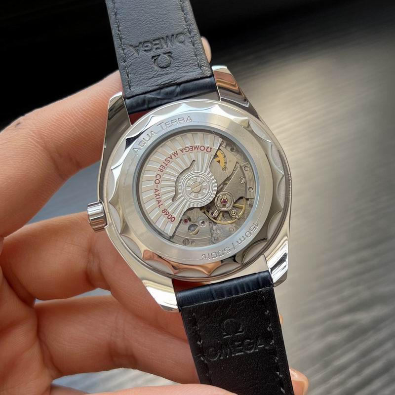 Omega 41mm 39-Aqua Terra (1)