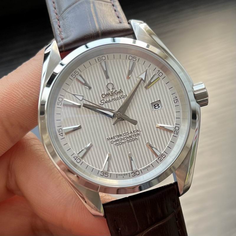 Omega 41mm 39-Aqua Terra (4)