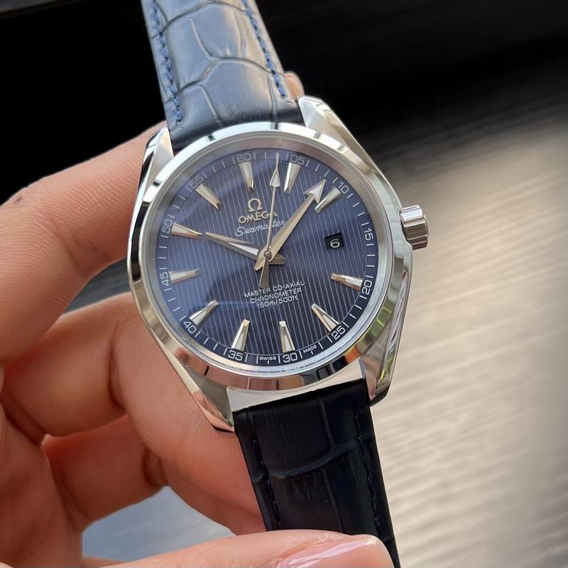 Omega 41mm 39-Aqua Terra (6)