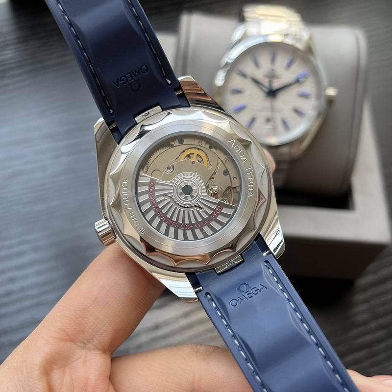 Omega 41mm 40-Aqua Terra (1)