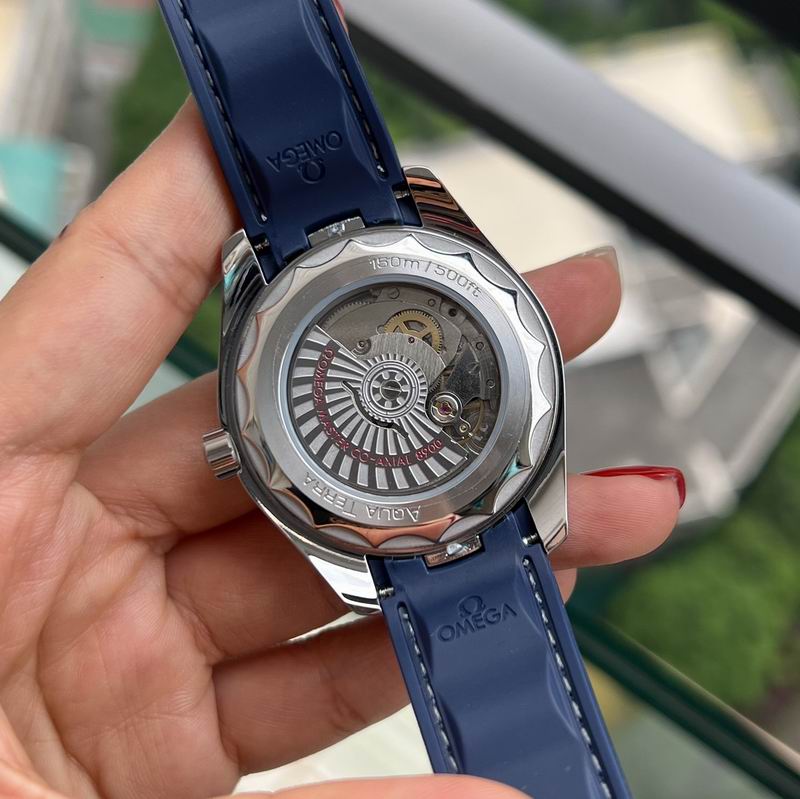 Omega 41mm 42-Aqua Terra (1)