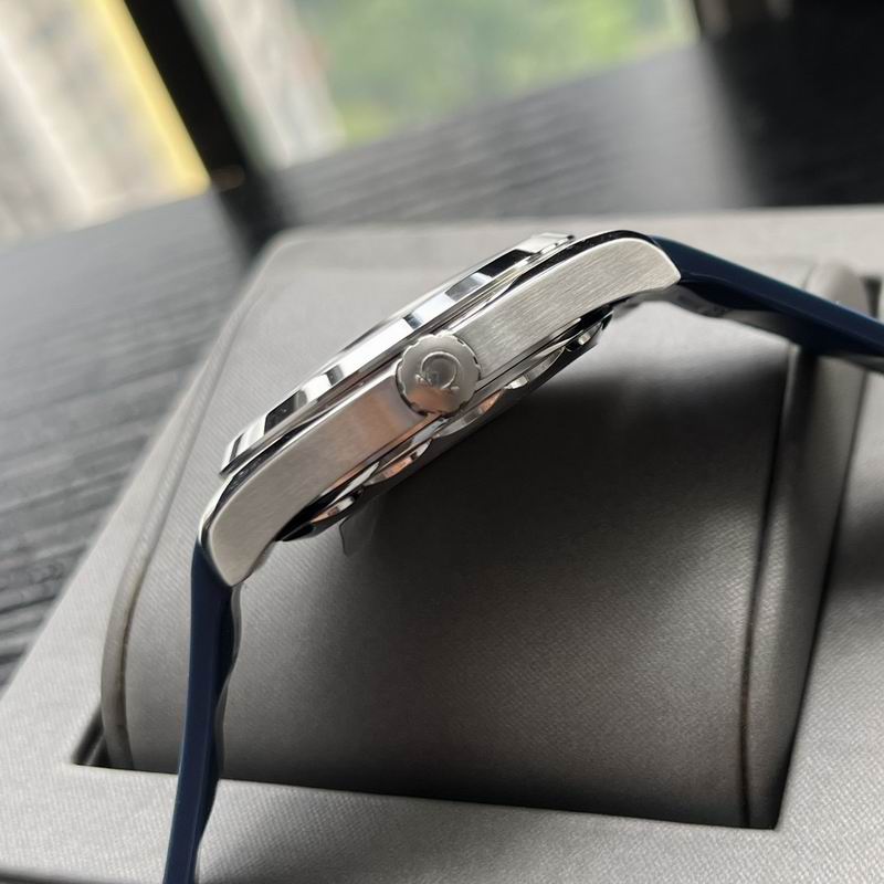 Omega 41mm 44-Aqua Terra (3)