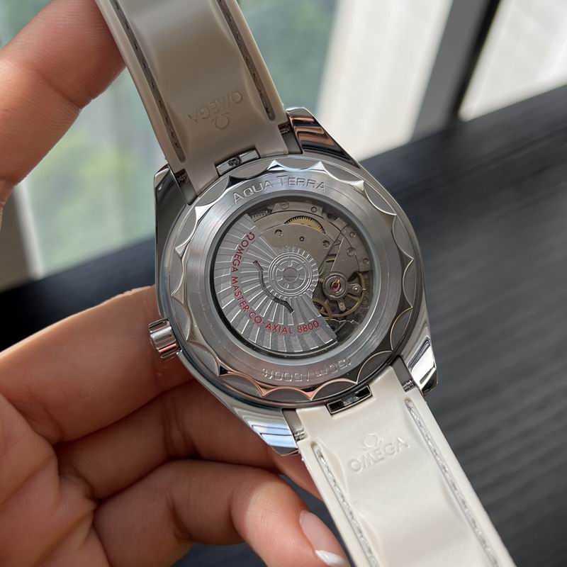 Omega 41mm 45-Aqua Terra (2)