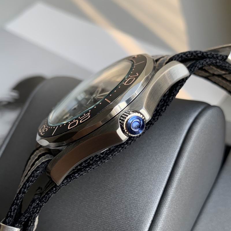 Omega 42mm 05-Seamaster (3)