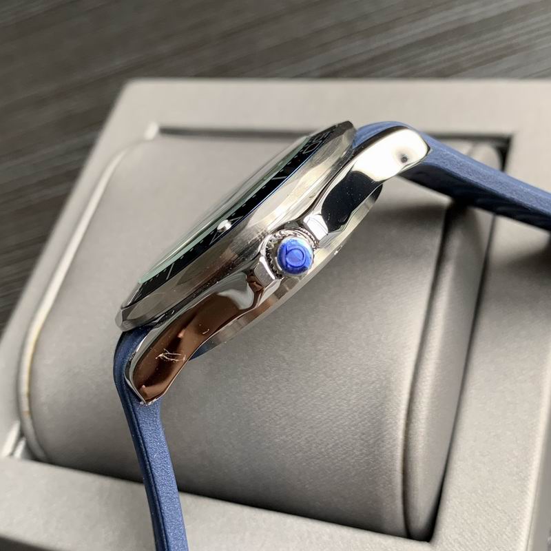 Omega 42mm 28-Seamaster (3)