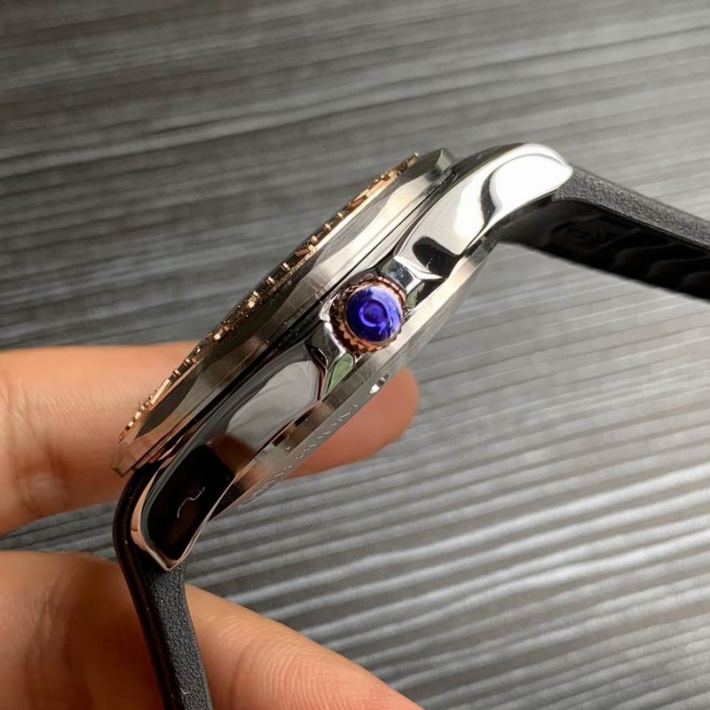 Omega 42mm 29-Seamaster (3)