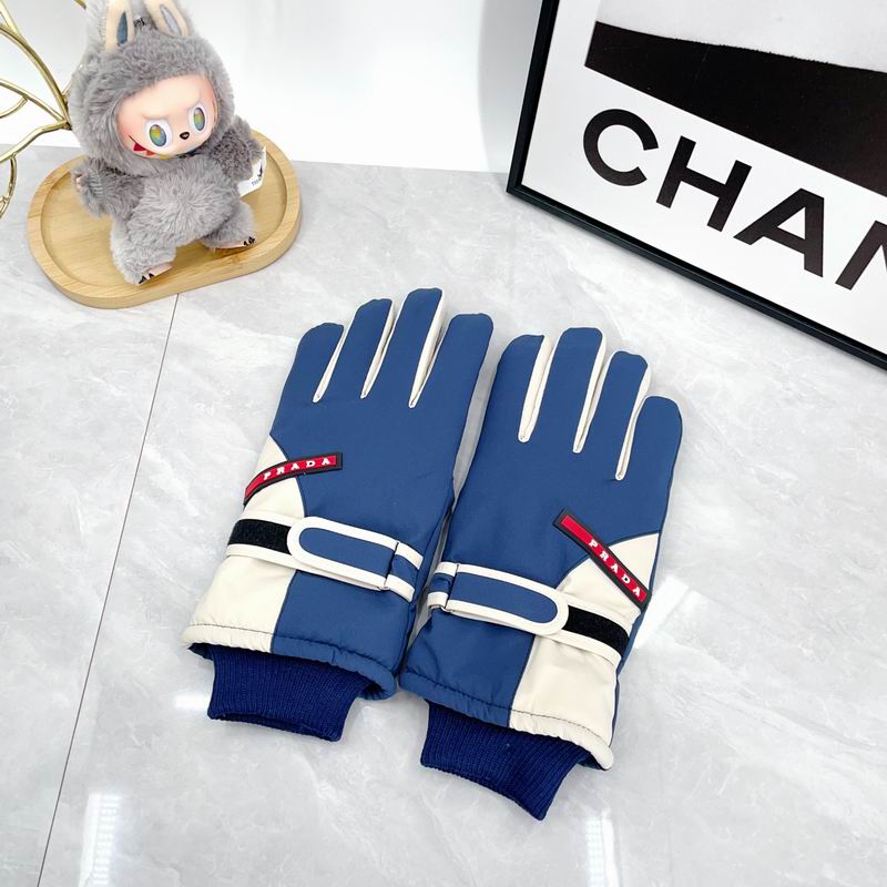 Prada Gloves dx (266)