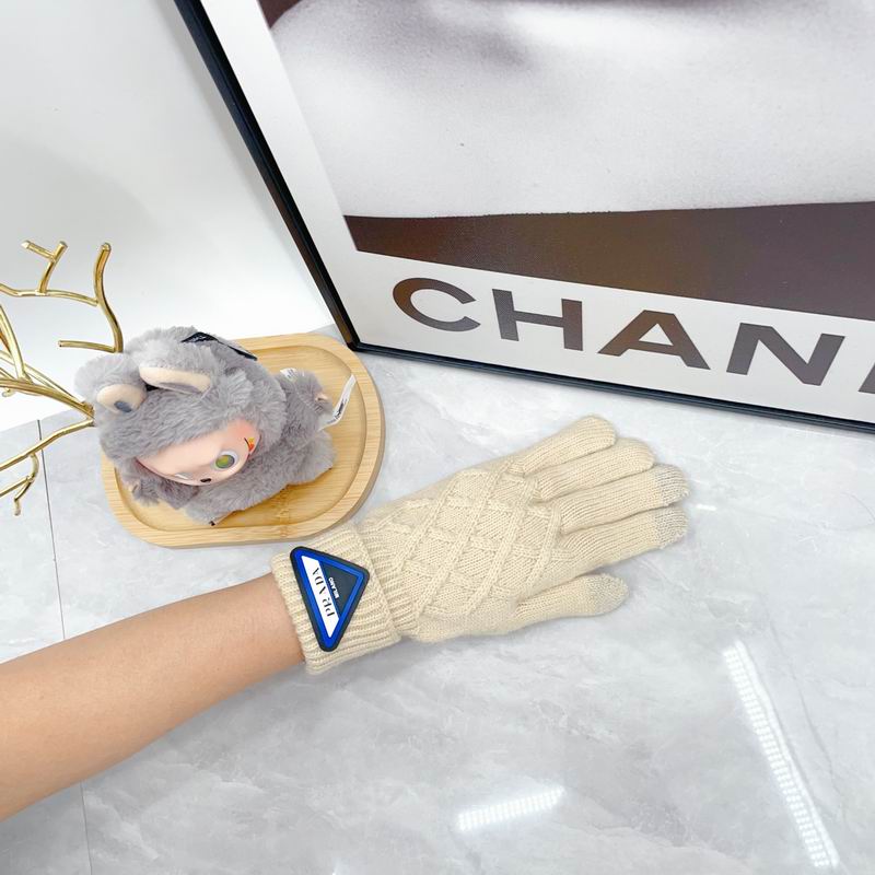 Prada Gloves dx (61)