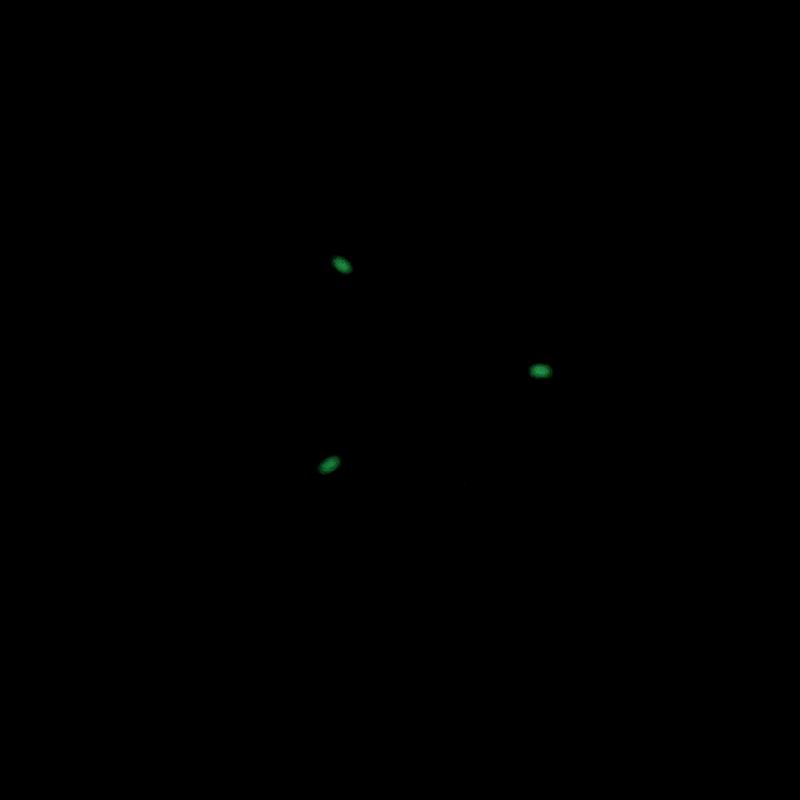 Seven Friday 47.6X47mm 75 (2)