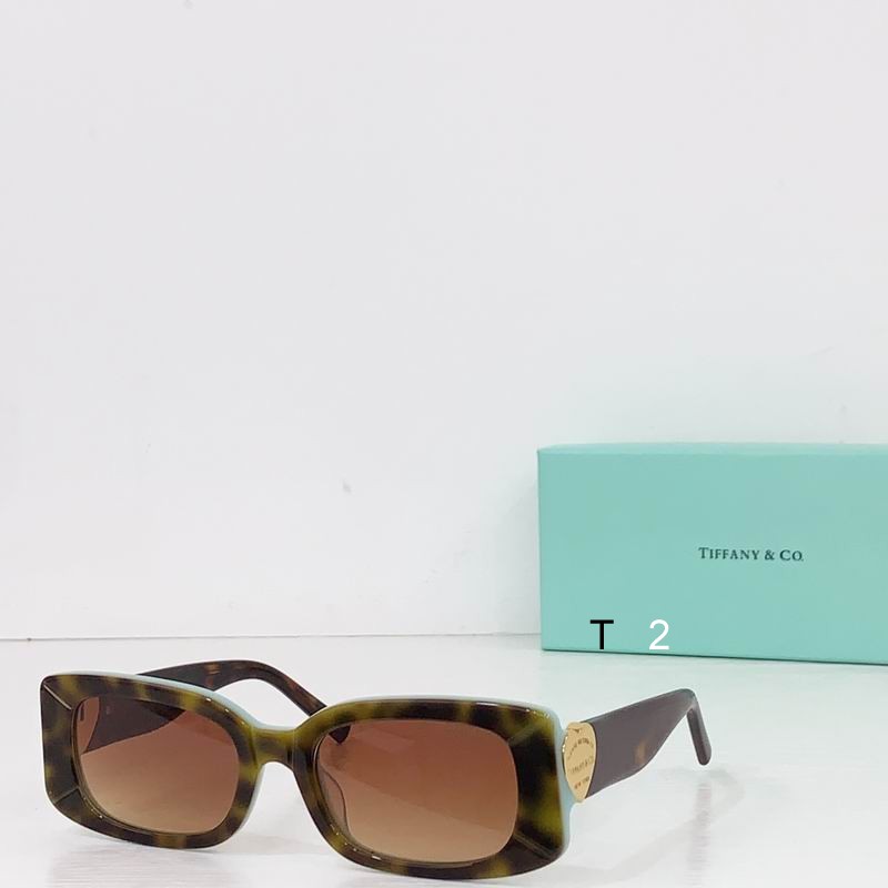 TIFFANY Co TF5011 55 21-140 B1