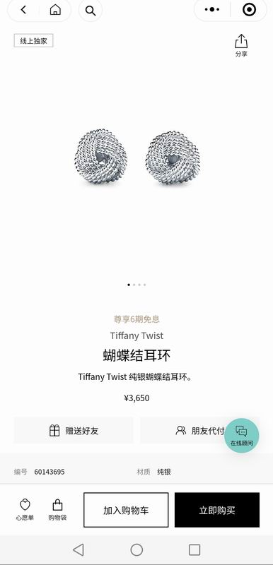 Tiffany earring 07yxq07 (1)