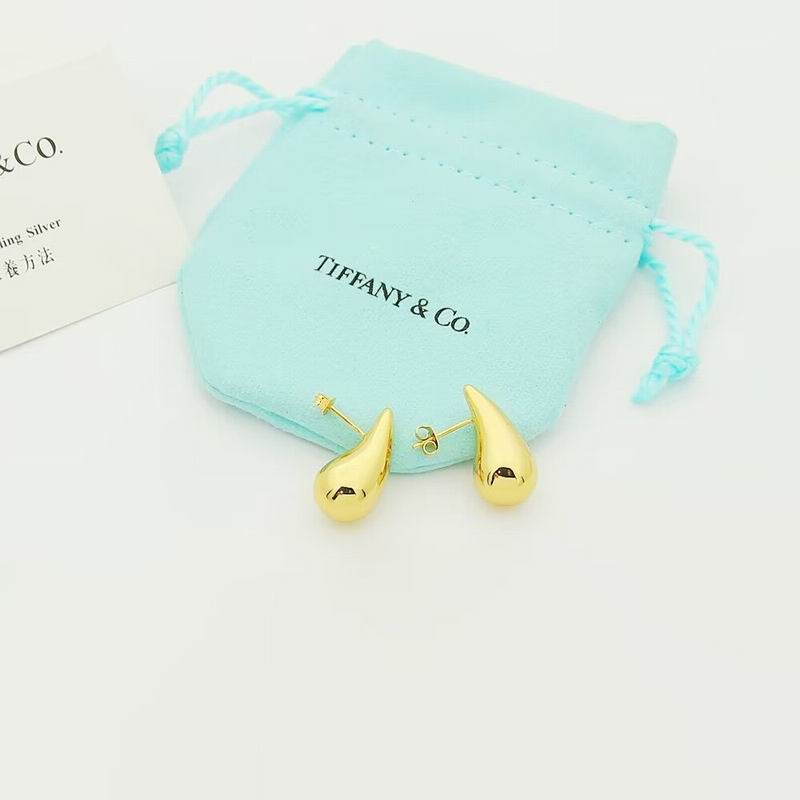 Tiffany earring 08yxq13 (7)