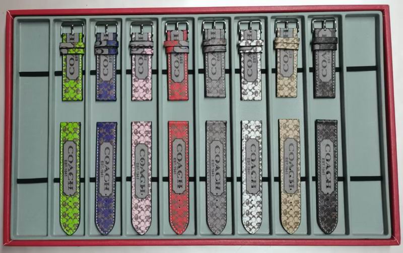 Watch belt 38-49mm 51 (14)