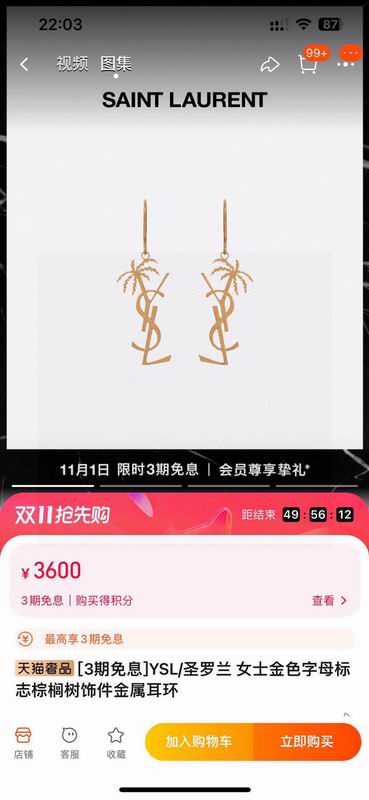 YSL Earring 07yxq12 (2)
