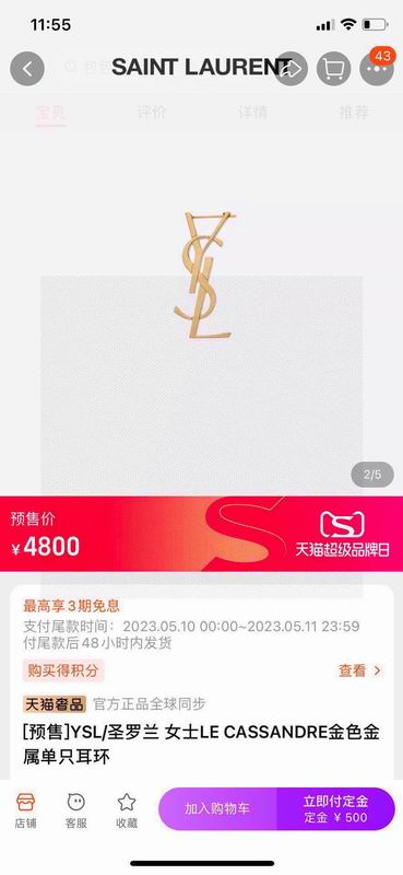 YSL Earring 08yxq30 (2)