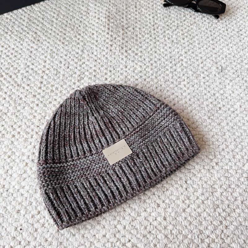 Alexander Wang Hat (822)