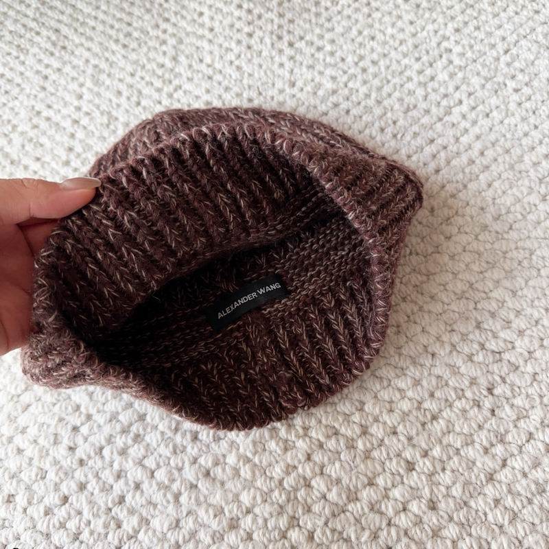 Alexander Wang Hat (827)