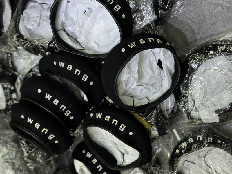 Alexander Wang beret dx (166)