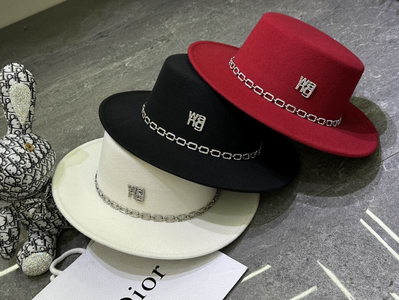 Alexander Wang top hat dx (270)