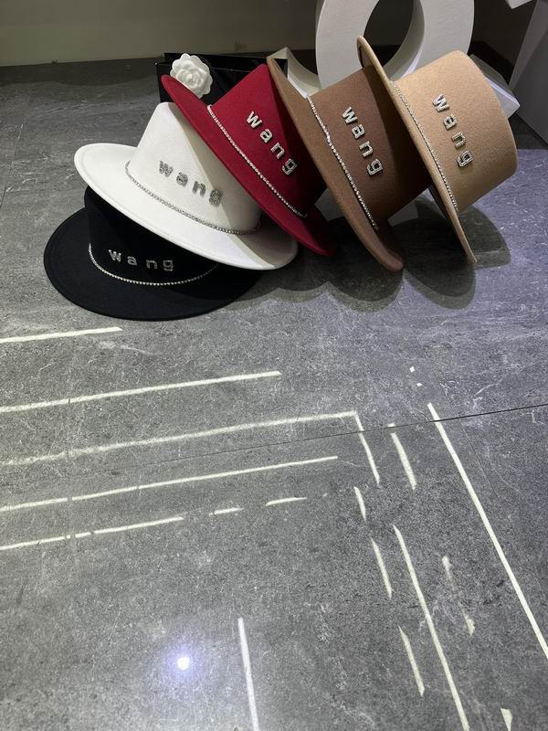 Alexander Wang top hat dx (97)