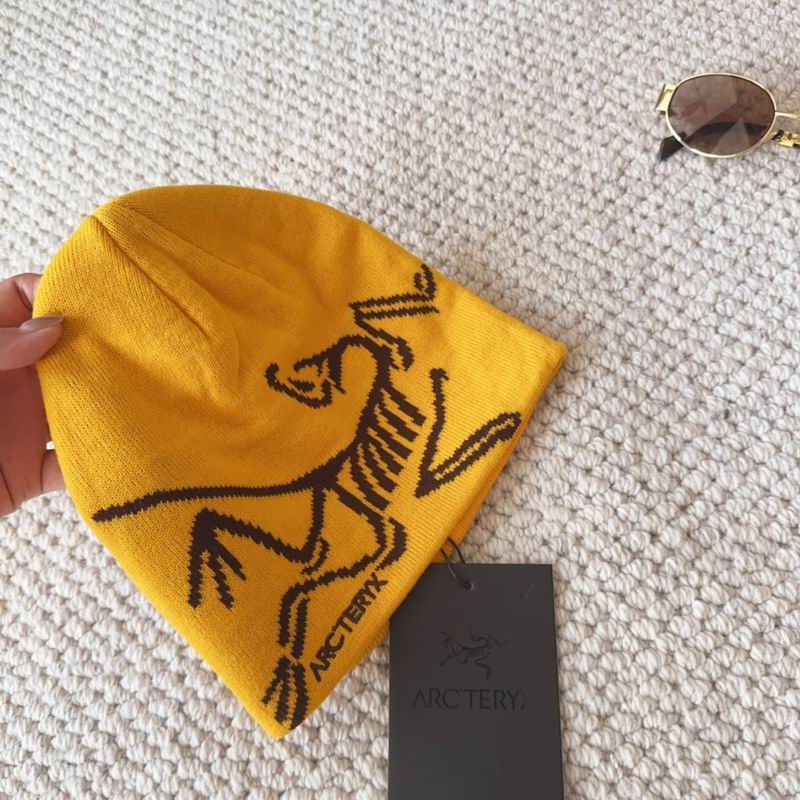 Arcteryx Hat (843)