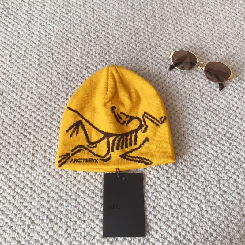 Arcteryx Hat (846)