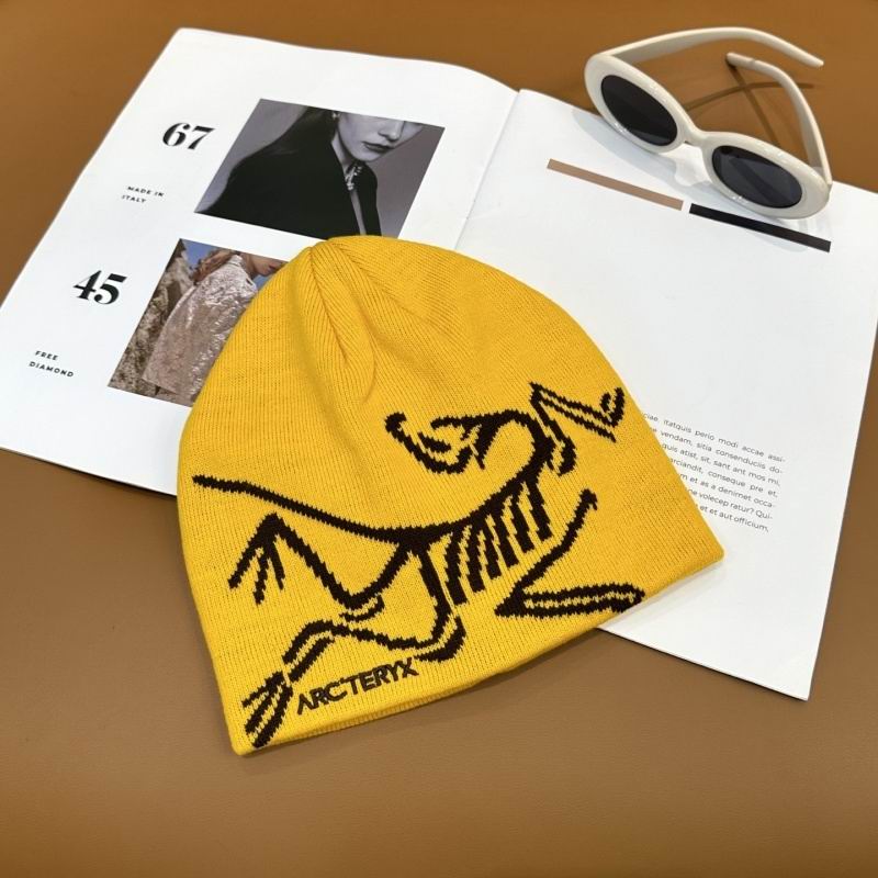 Arcteryx Hat hm (19)