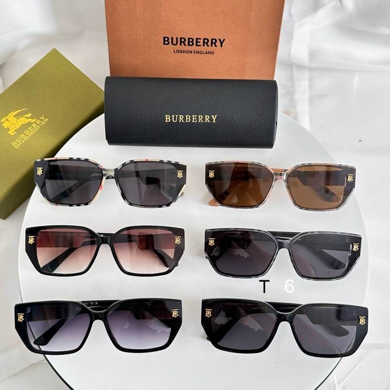 Burberry 1027011 e08