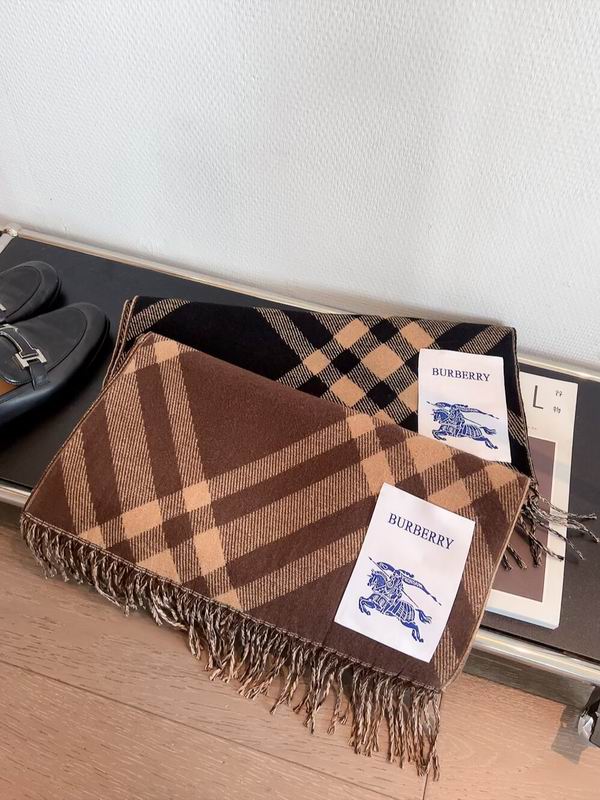 Burberry Scarf 100%顶级丝羊绒 E31 (15)