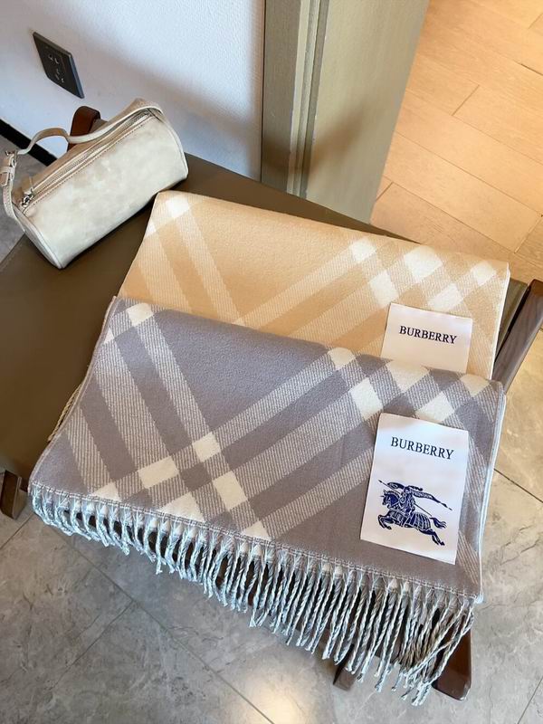 Burberry Scarf 100%顶级丝羊绒 E31 (24)