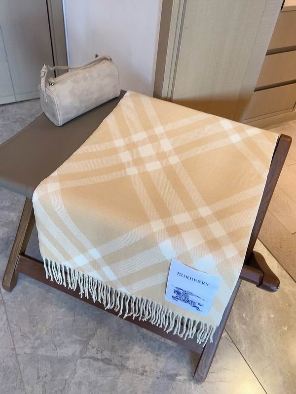 Burberry Scarf 100%顶级丝羊绒 E31 (25)