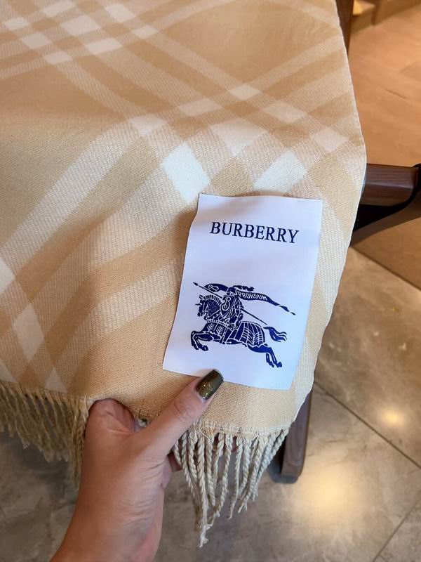 Burberry Scarf 100%顶级丝羊绒 E31 (26)