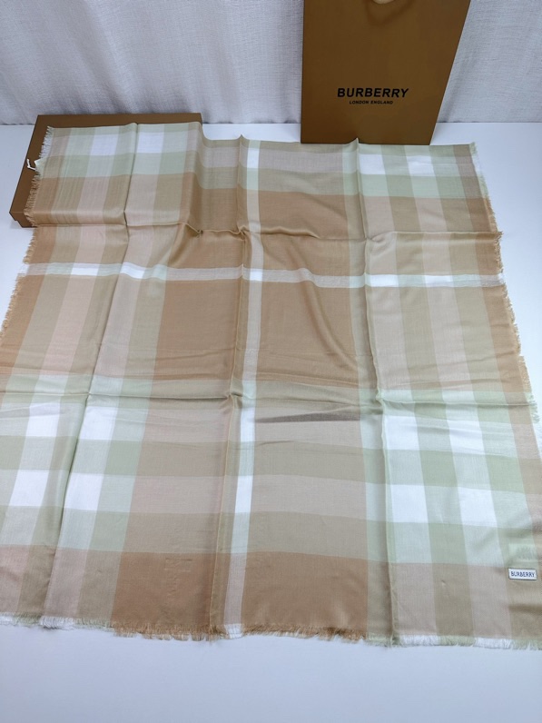 Burberry Scarf 110X200cm E02 (1)