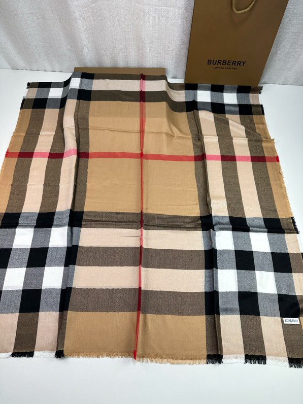 Burberry Scarf 110X200cm E02 (19)