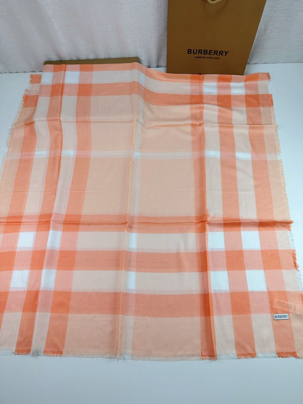 Burberry Scarf 110X200cm E02 (28)