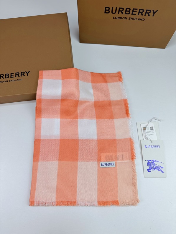 Burberry Scarf 110X200cm E02 (35)