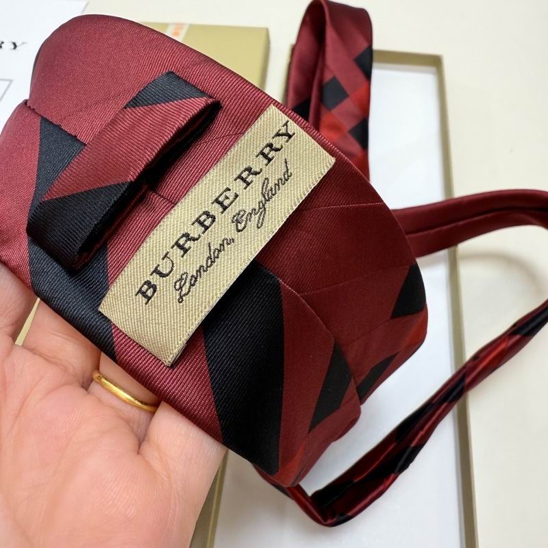 Burberry Tie hm (10)