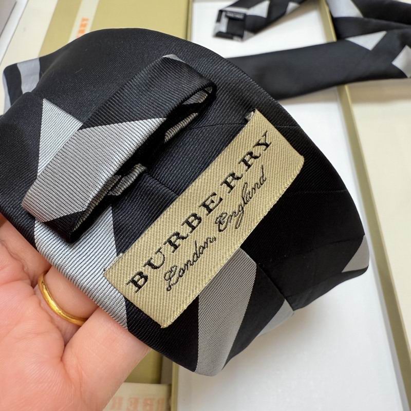 Burberry Tie hm (16)