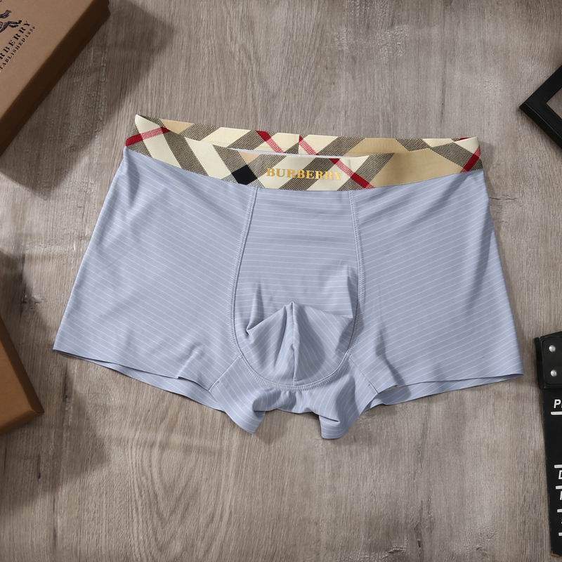 Burberry boxer L-4XL 06 (2)