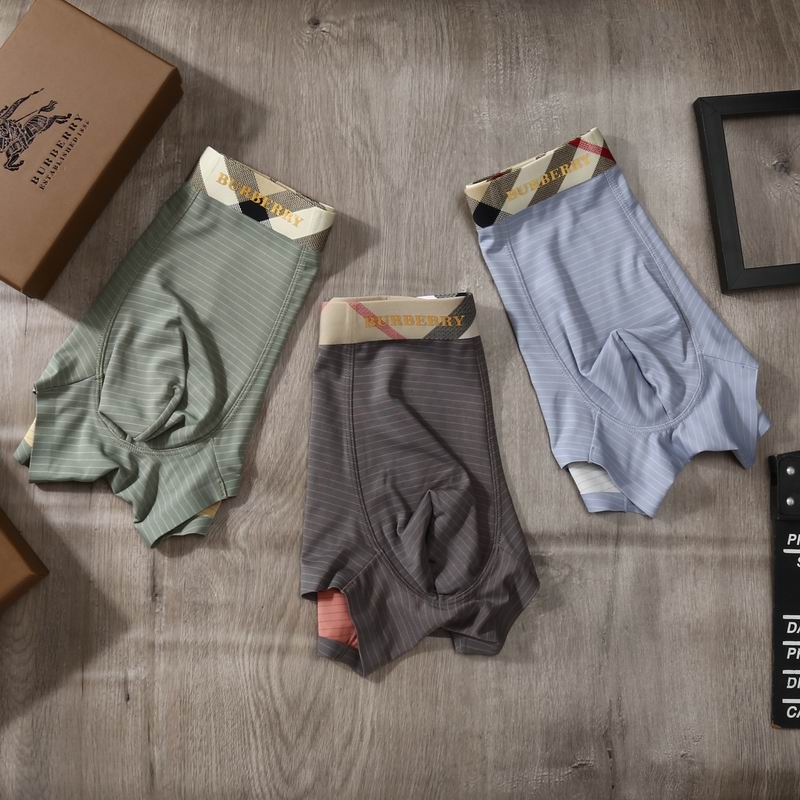 Burberry boxer L-4XL 06 (4)