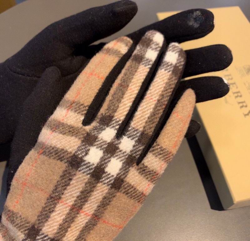 Burberry gloves 22 (17)