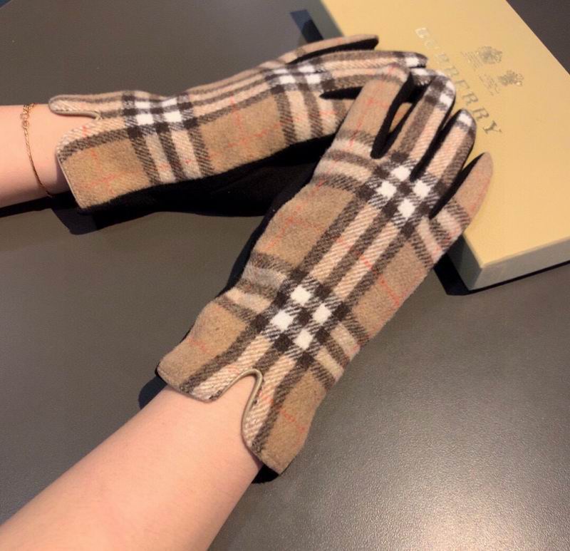 Burberry gloves 22 (18)