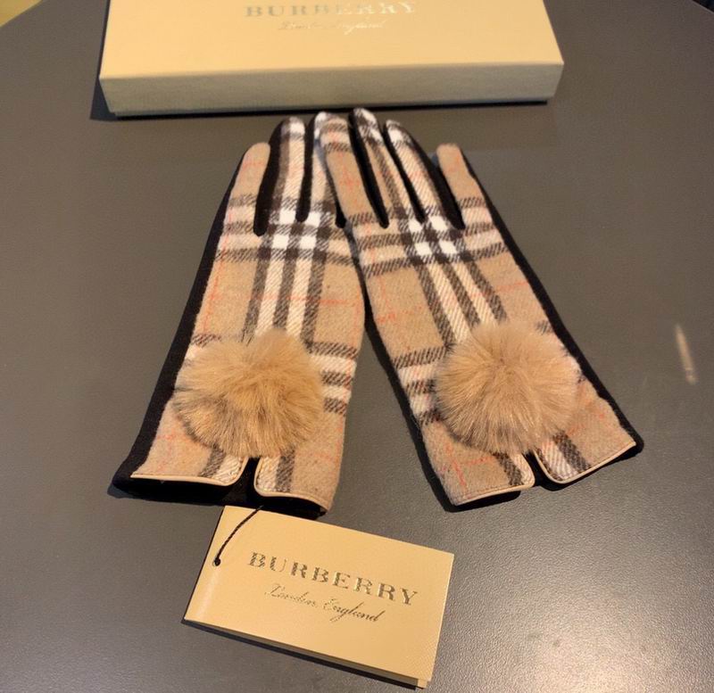 Burberry gloves 23 (12)