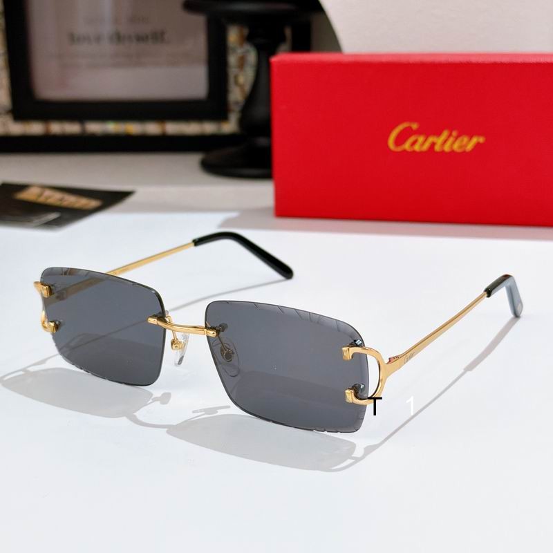 Cartier CT0243S 59 16-140 a03